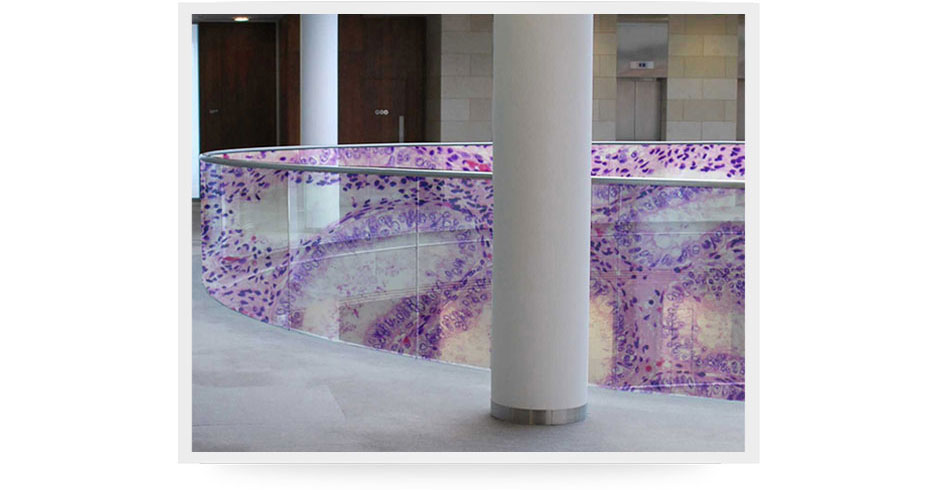 Curved-Glass-Panels